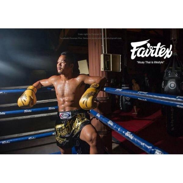 Guantes Fairtex Falcon Muay Thai - Boxeo - 100% Cuero - MMA Store Peru