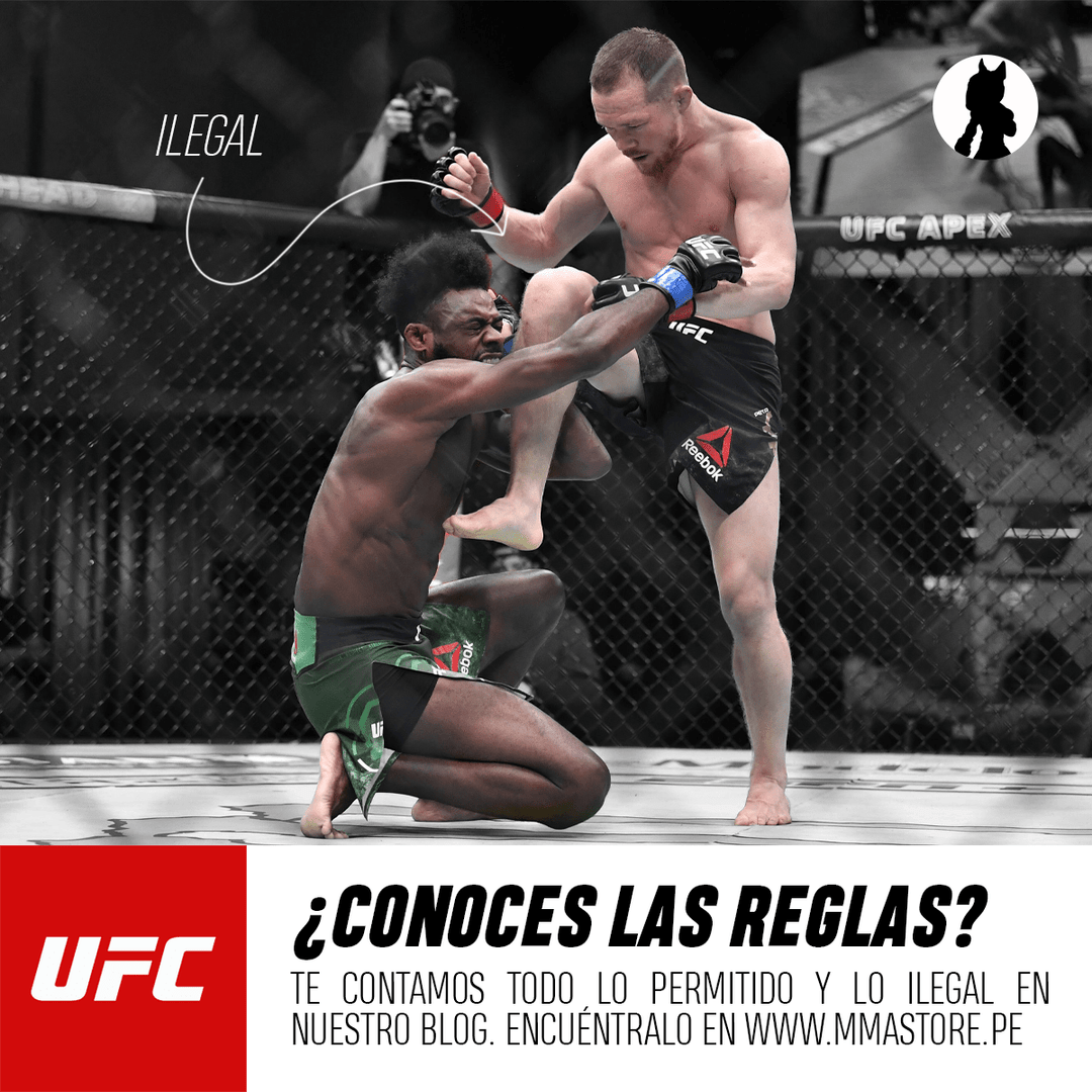 Las Reglas de la UFC